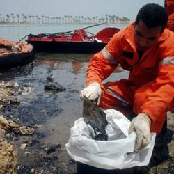 Пляжи Хургады загрязнены нефтью
