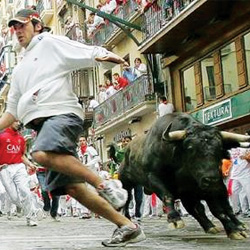 В Испании пять человек получили ранения, убегая от 12 разъяренных быков
