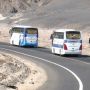 Египет. В Египте преступники захватили автобус с туристами