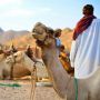 Египет. В Египте бедуины похитили двух американских туристов