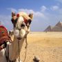 Египет. Виза в Египет подорожает с 1 мая