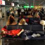 Россия. Турфирмам запретят выдавать билеты в аэропорту