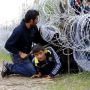 Венгрия. В Венгрии решили задействовать армию для защиты границ от мигрантов