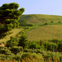 Сильви Марина